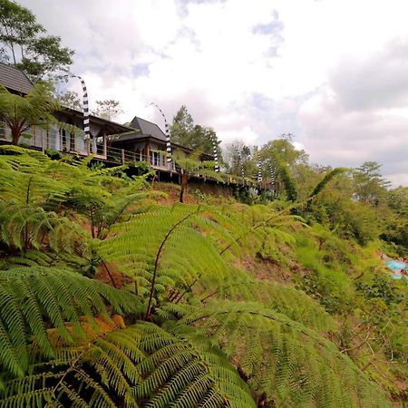 Hotel The Bejalin Eco Retreat à Plaga Extérieur photo