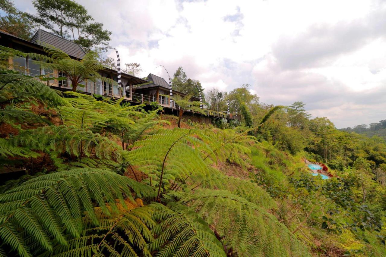 Hotel The Bejalin Eco Retreat à Plaga Extérieur photo